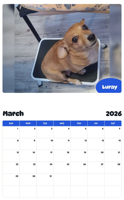 November 2025 - October 2026 Luray - Pawidols Pet Calendar