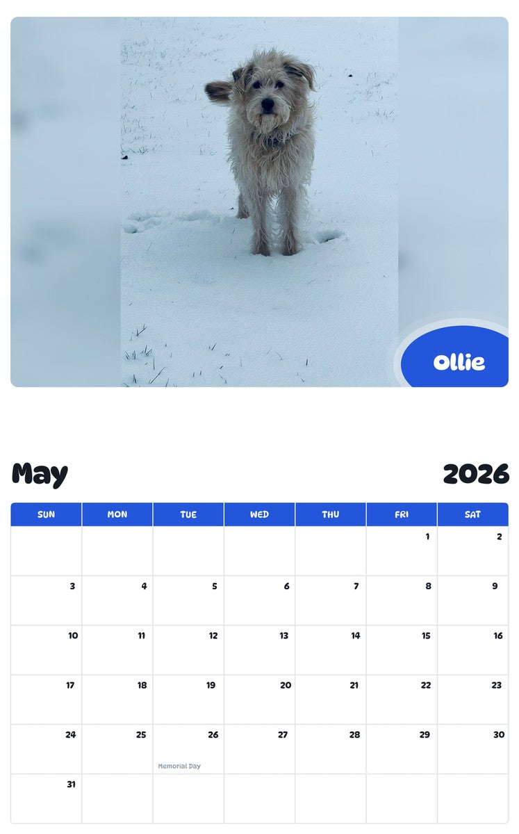 2026 - 2027 Ollie - Pawidols Pet Calendar
