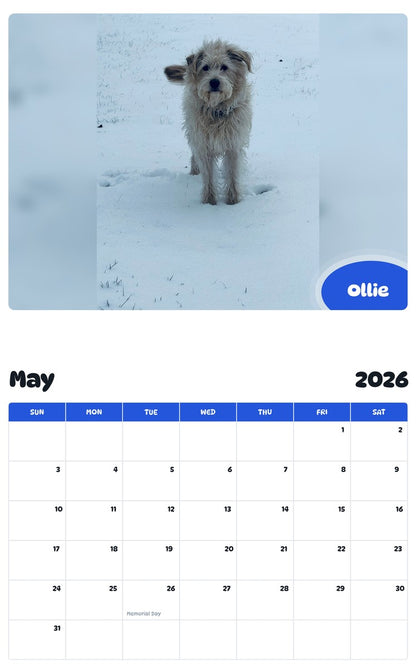 2026 - 2027 Ollie - Pawidols Pet Calendar