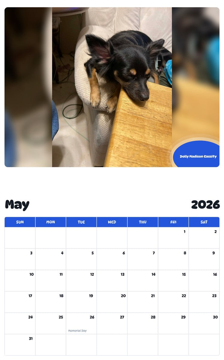 2026 - 2027 Dolly Madison Cassity - Pawidols Pet Calendar