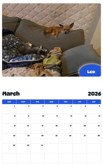 November 2025 - October 2026 Leo - Pawidols Pet Calendar