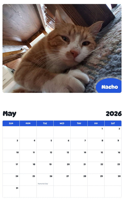 2026 - 2027 Nacho - Pawidols Pet Calendar