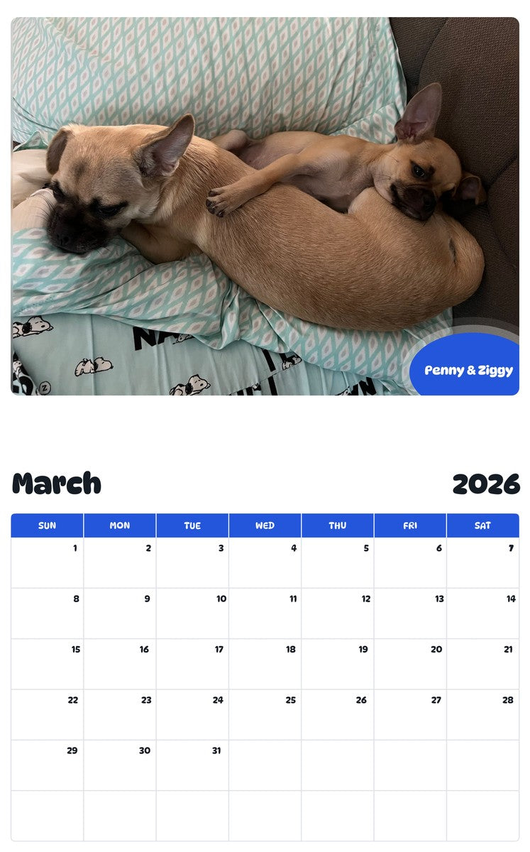 November 2025 - October 2026 Penny & Ziggy - Pawidols Pet Calendar
