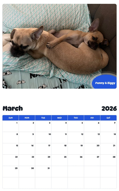 November 2025 - October 2026 Penny & Ziggy - Pawidols Pet Calendar
