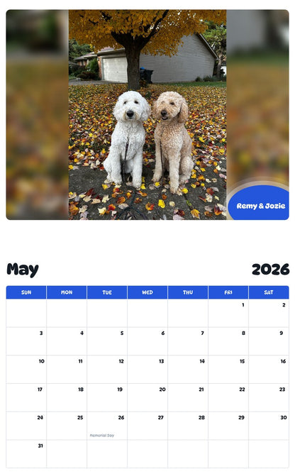 2026 - 2027 Remy & Jozie - Pawidols Pet Calendar