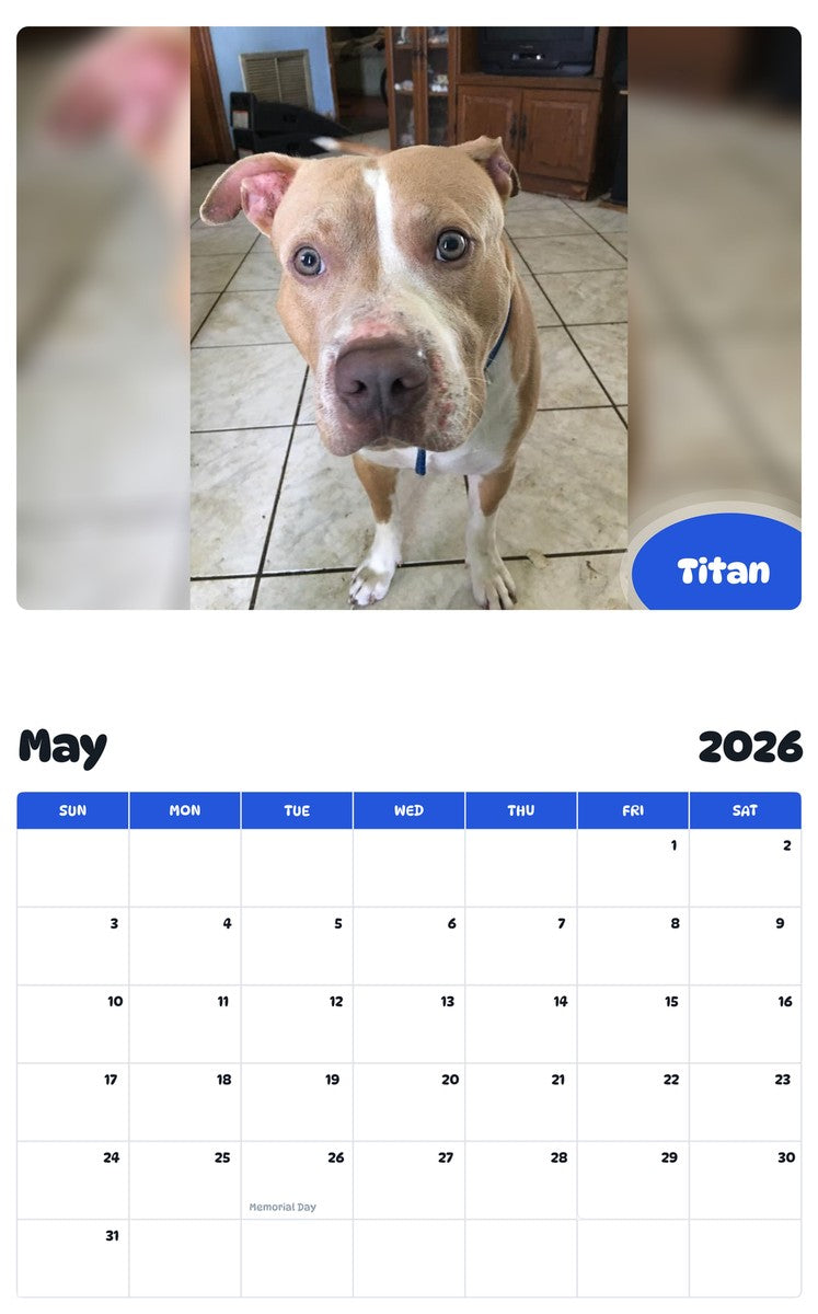 2026 - 2027 Titan - Pawidols Pet Calendar