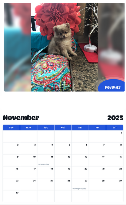 July 2025 - June 2026 Pebbles - Pawidols Pet Calendar