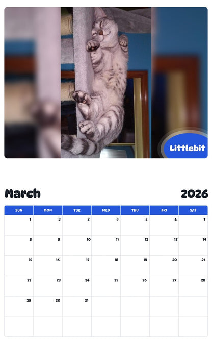 November 2025 - October 2026 Littlebit - Pawidols Pet Calendar