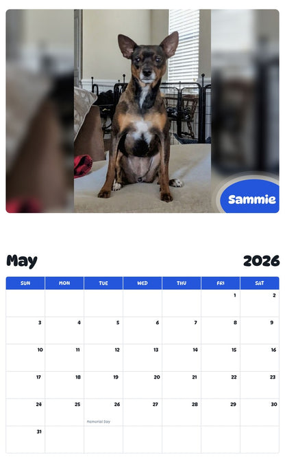 2026 - 2027 Sammie - Pawidols Pet Calendar
