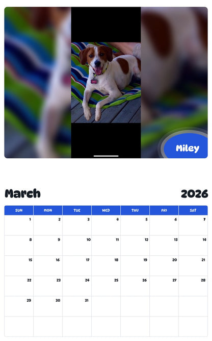 November 2025 - October 2026 Miley - Pawidols Pet Calendar