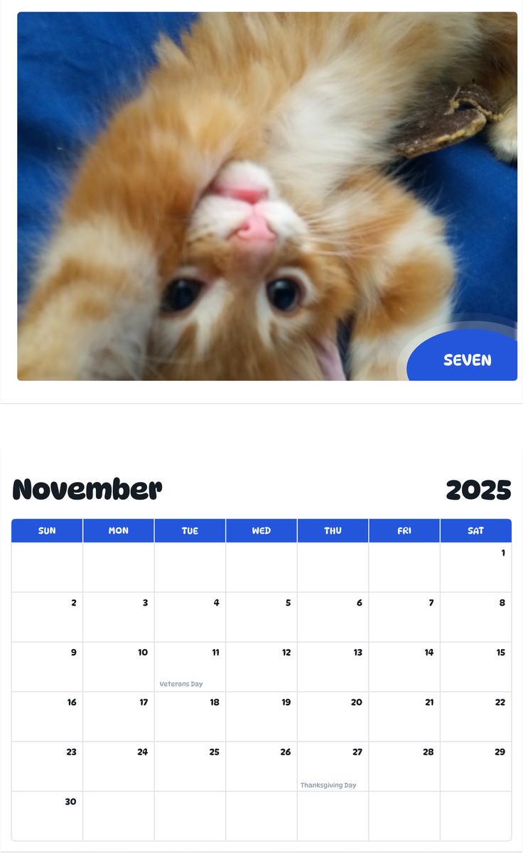July 2025 - June 2026 Seven - Pawidols Pet Calendar