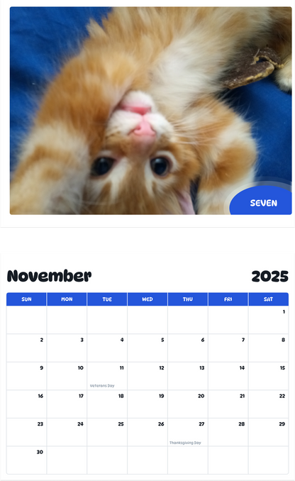 July 2025 - June 2026 Seven - Pawidols Pet Calendar