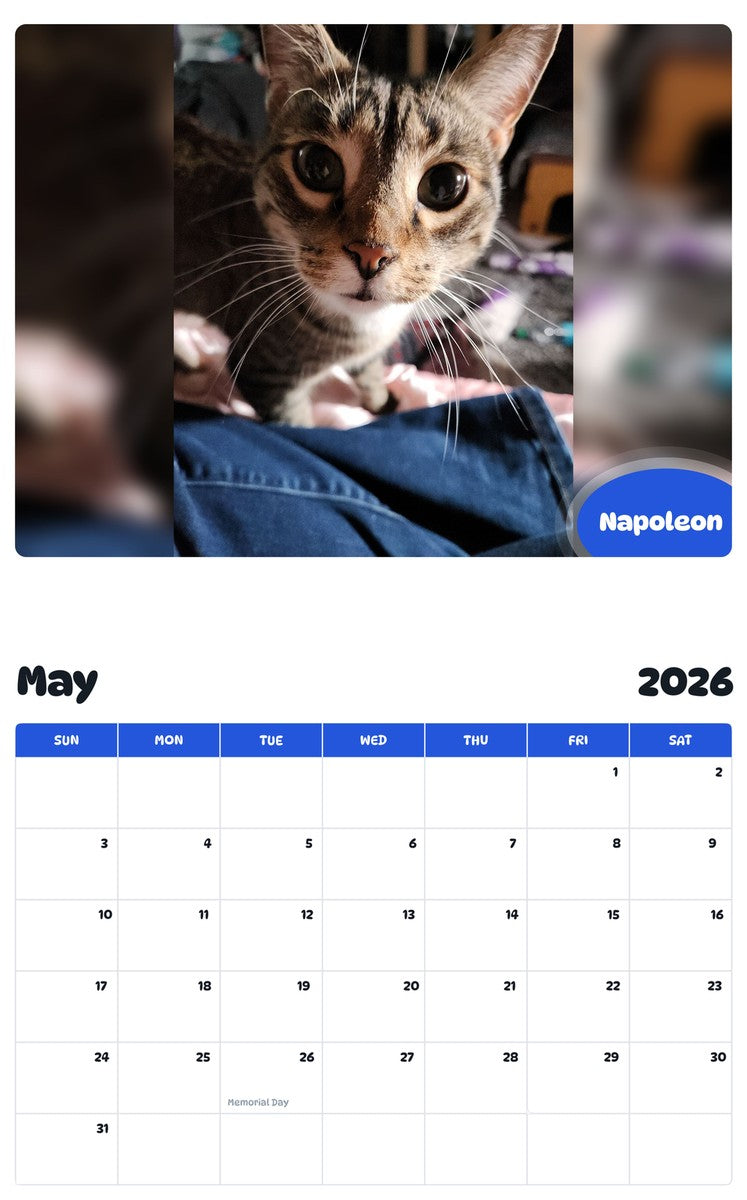 2026 - 2027 Napoleon - Pawidols Pet Calendar