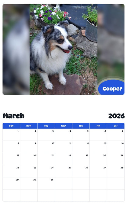November 2025 - October 2026 Cooper - Pawidols Pet Calendar