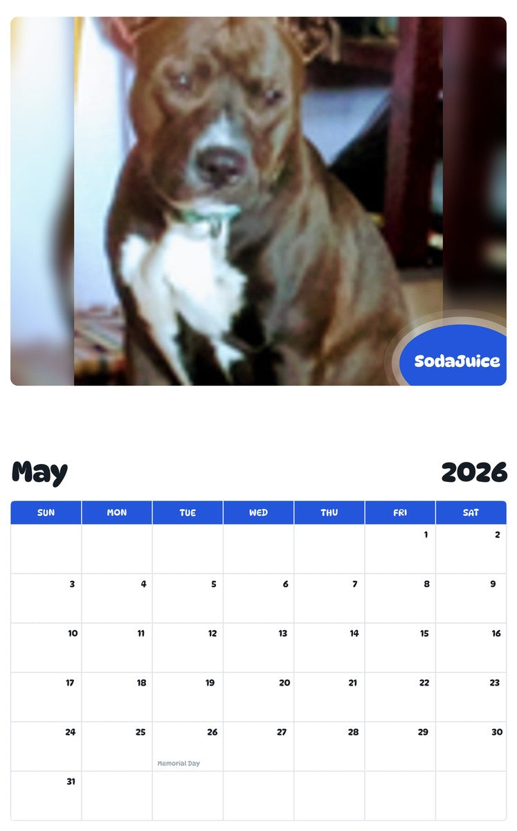 2026 - 2027 SodaJuice - Pawidols Pet Calendar