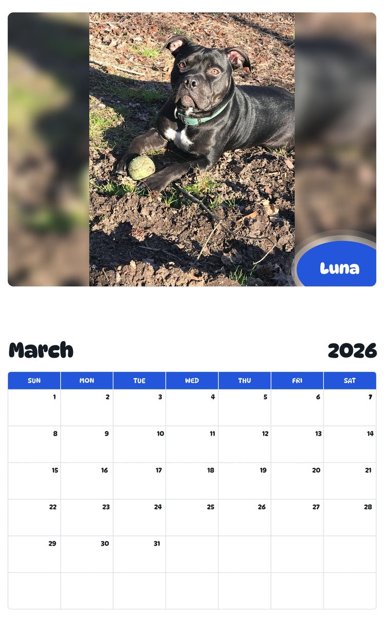 November 2025 - October 2026 Luna - Pawidols Pet Calendar