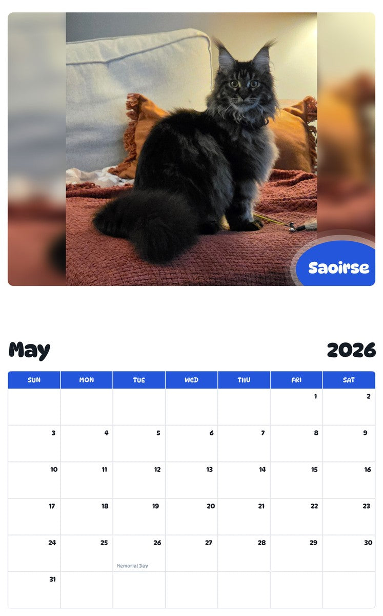 2026 - 2027 Saoirse - Pawidols Pet Calendar