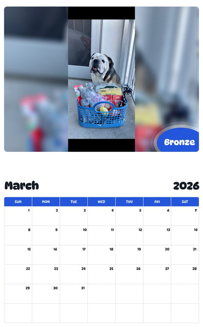November 2025 - October 2026 Bronze - Pawidols Pet Calendar
