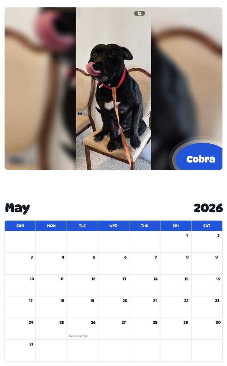 2026 - 2027 Cobra - Pawidols Pet Calendar