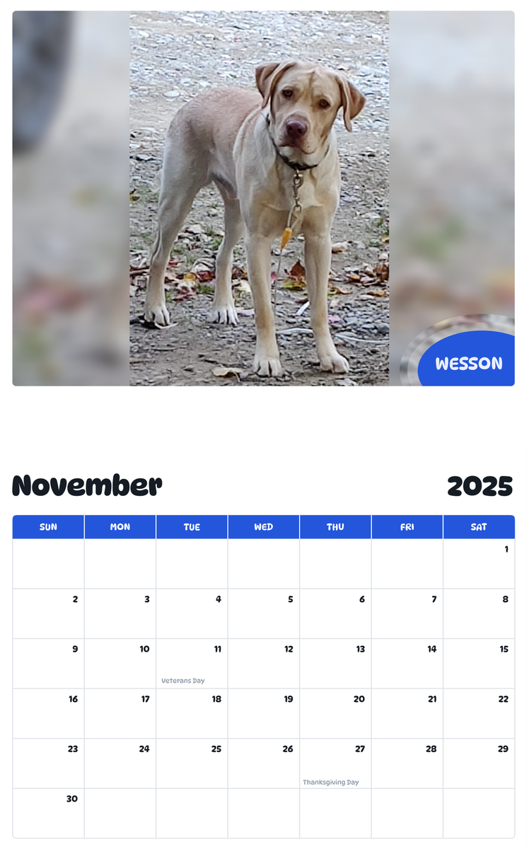 July 2025 - June 2026 Wesson - Pawidols Pet Calendar