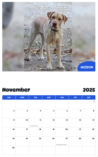 July 2025 - June 2026 Wesson - Pawidols Pet Calendar