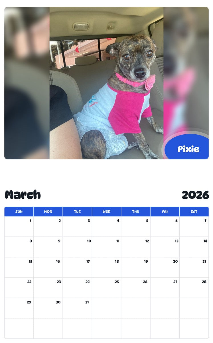 November 2025 - October 2026 Pixie - Pawidols Pet Calendar
