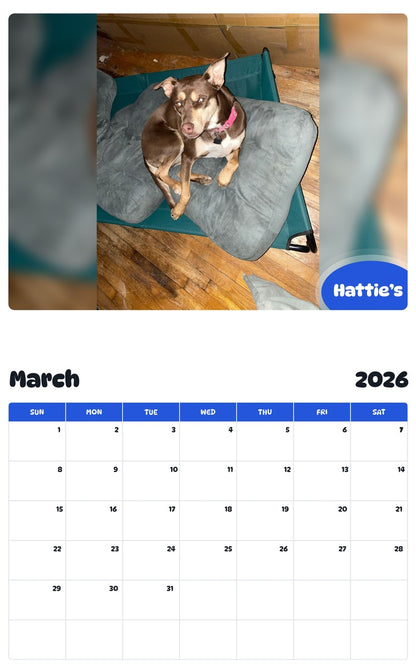 November 2025 - October 2026 Hattie’s - Pawidols Pet Calendar