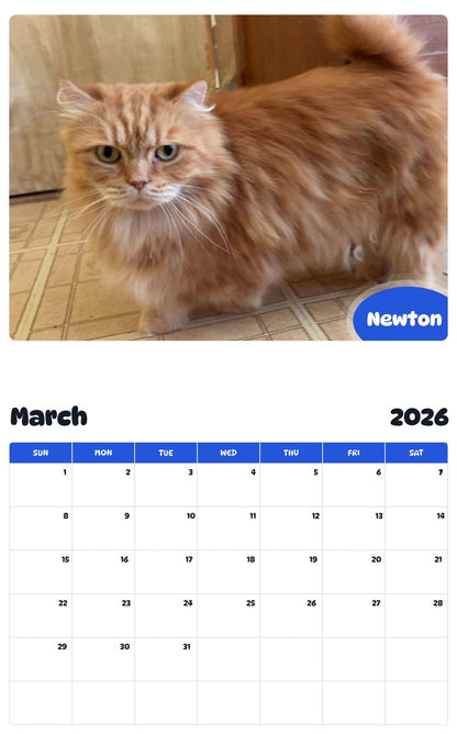 November 2025 - October 2026 Newton - Pawidols Pet Calendar