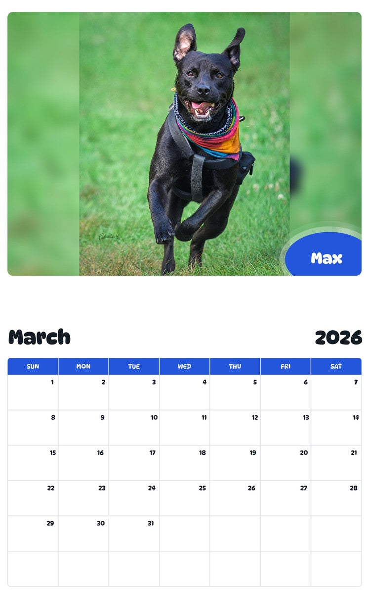 November 2025 - October 2026 Max - Pawidols Pet Calendar