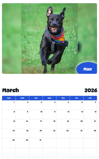 November 2025 - October 2026 Max - Pawidols Pet Calendar