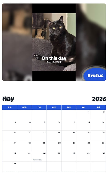 2026 - 2027 Brutus - Pawidols Pet Calendar