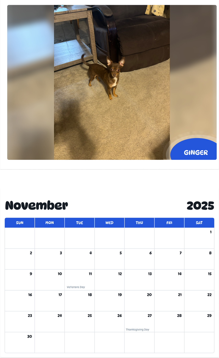 July 2025 - June 2026 Ginger - Pawidols Pet Calendar