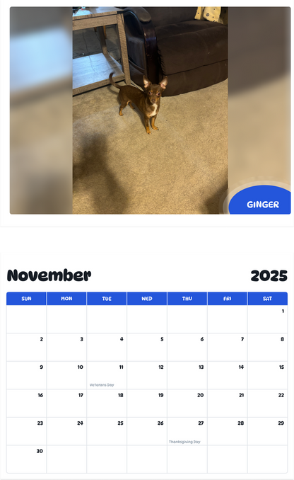 July 2025 - June 2026 Ginger - Pawidols Pet Calendar
