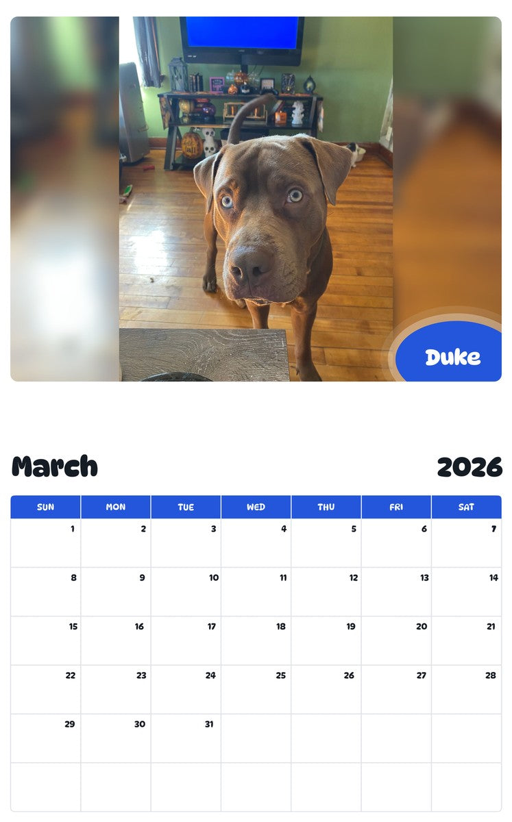 November 2025 - October 2026 Duke - Pawidols Pet Calendar