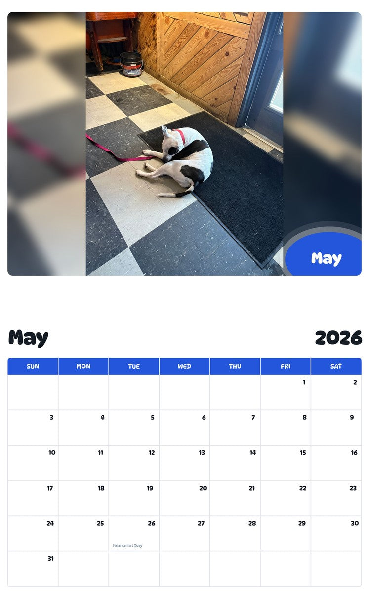 2026 - 2027 May - Pawidols Pet Calendar