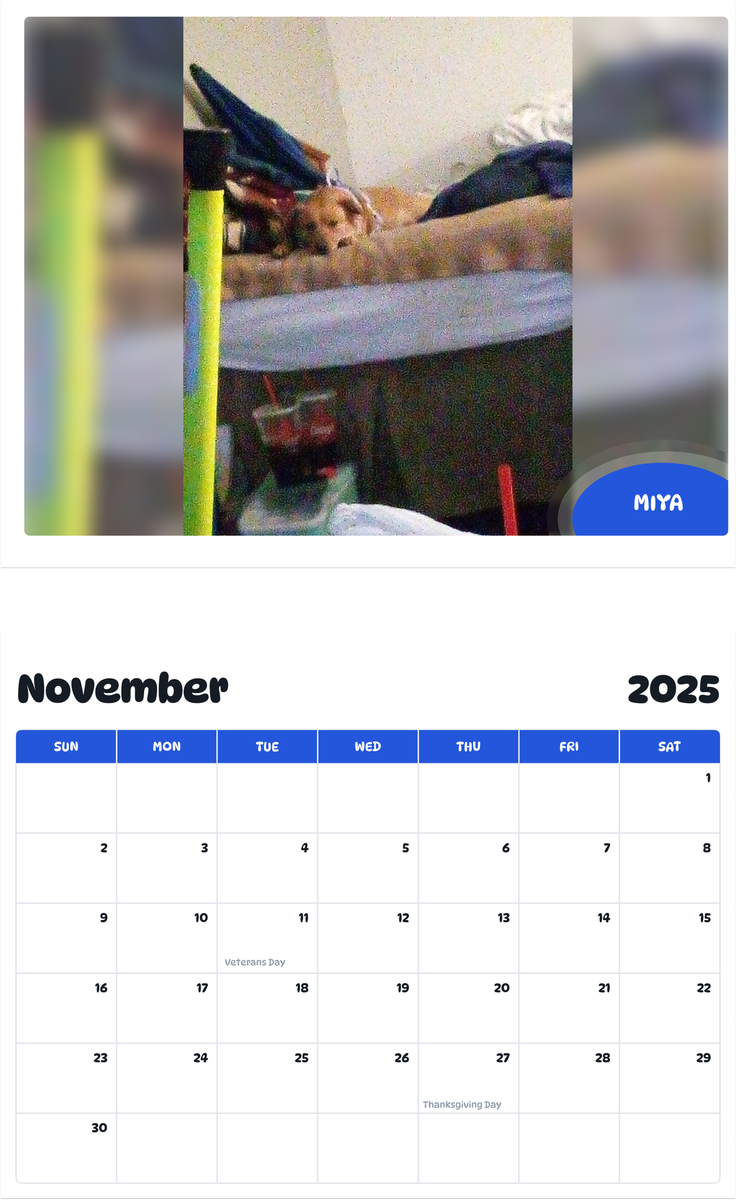 July 2025 - June 2026 Miya - Pawidols Pet Calendar