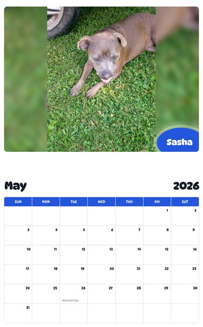 2026 - 2027 Sasha - Pawidols Pet Calendar