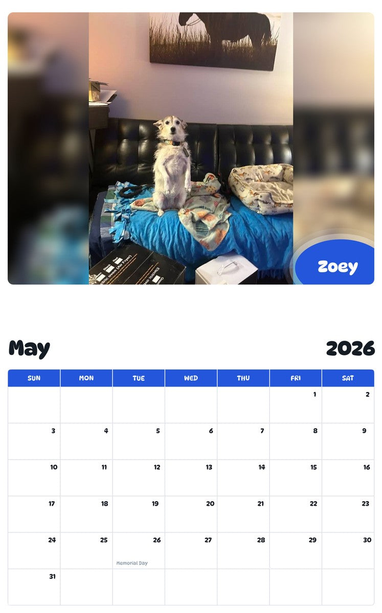 2026 - 2027 Zoey - Pawidols Pet Calendar