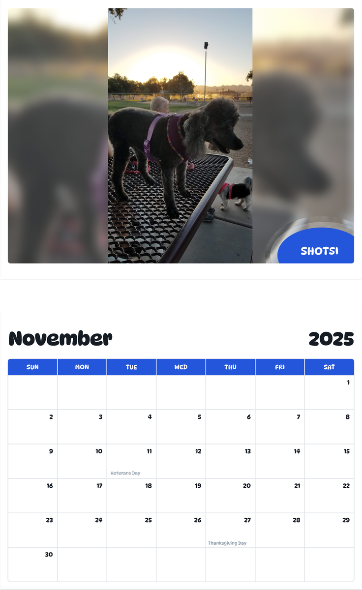 July 2025 - June 2026 Shotsi - Pawidols Pet Calendar