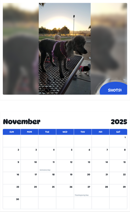 July 2025 - June 2026 Shotsi - Pawidols Pet Calendar