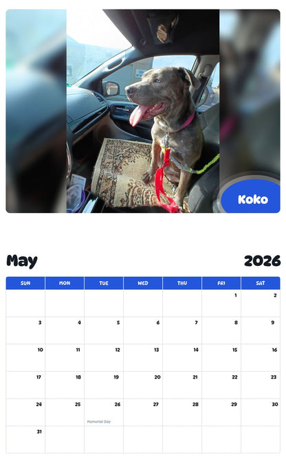 2026 - 2027 Koko - Pawidols Pet Calendar