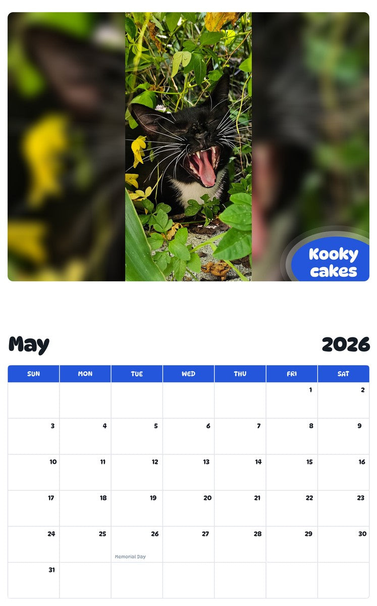 2026 - 2027 Kooky cakes - Pawidols Pet Calendar
