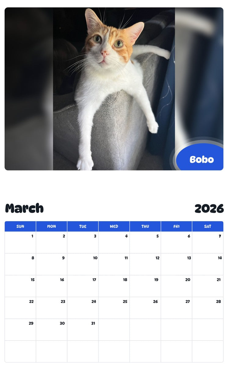 November 2025 - October 2026 Bobo - Pawidols Pet Calendar