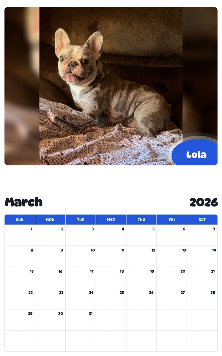 November 2025 - October 2026 Lola - Pawidols Pet Calendar