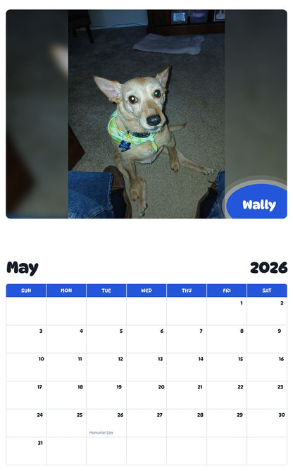 2026 - 2027 Wally - Pawidols Pet Calendar