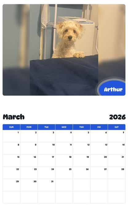 November 2025 - October 2026 Arthur - Pawidols Pet Calendar