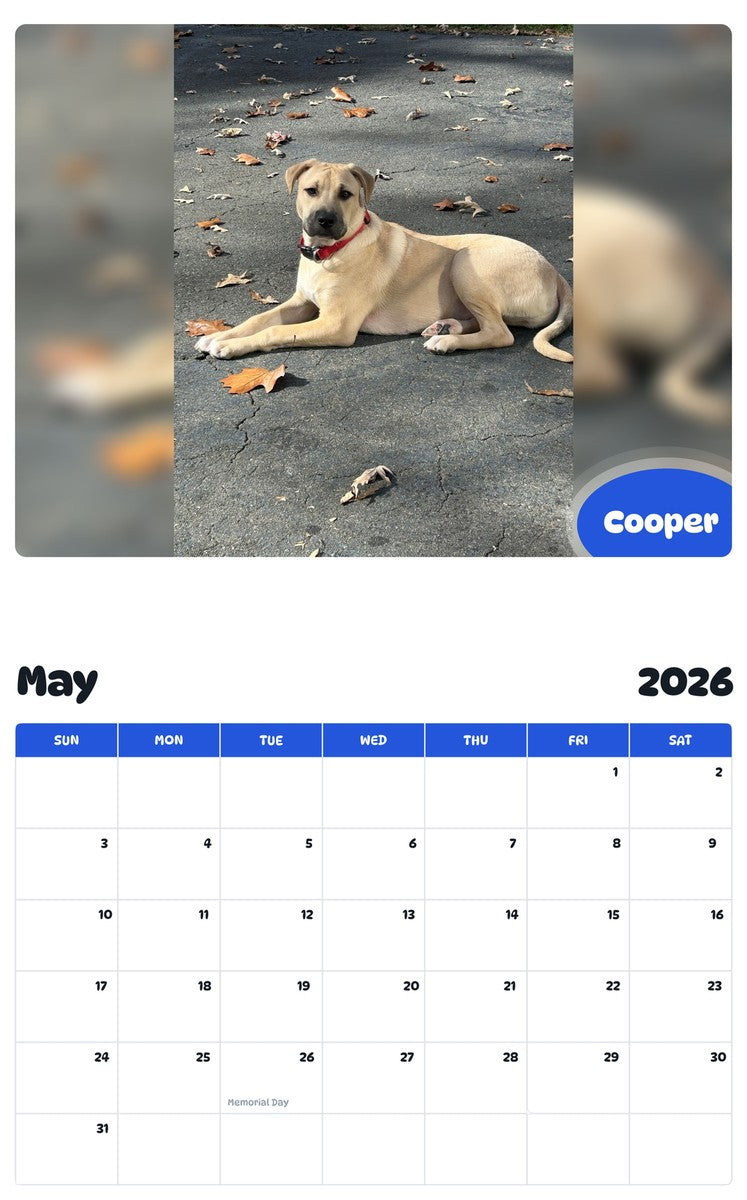 2026 - 2027 Cooper - Pawidols Pet Calendar