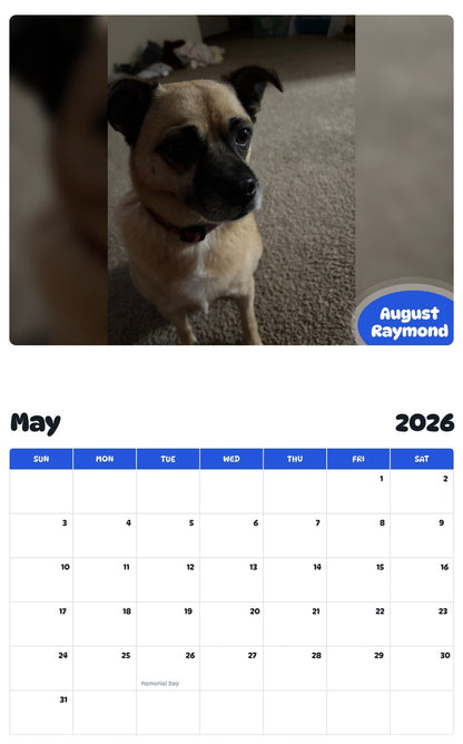2026 - 2027 August Raymond - Pawidols Pet Calendar