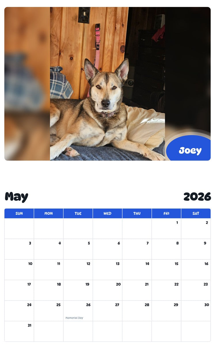 2026 - 2027 Joey - Pawidols Pet Calendar