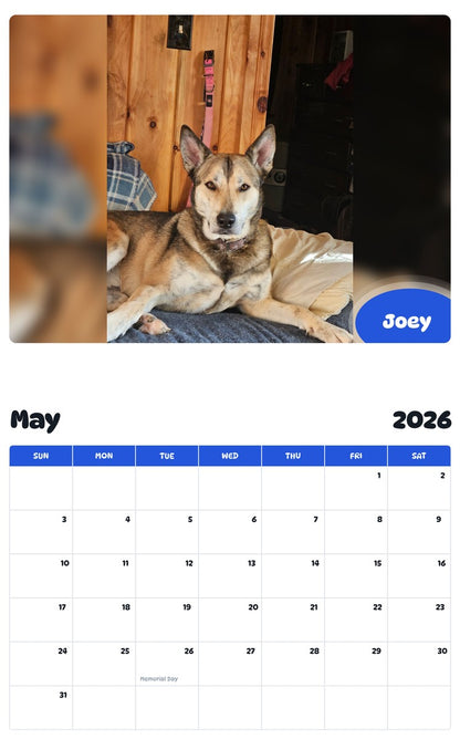 2026 - 2027 Joey - Pawidols Pet Calendar